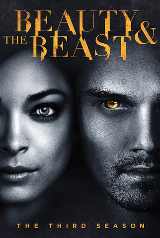 Poster 4 de Série A Bela e a Fera (3ª Temporada) (2015)