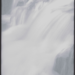 Foto de perfil de Rainy