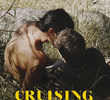 Cruising