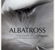 Albatross