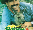 Skippy 3 - O Protetor da Floreta