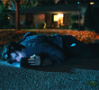 The Suburbs (1)