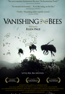 Desaparecimento das Abelhas (Vanishing of the Bees)