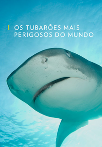Os Tubarões Mais Perigosos do Mundo (Os Tubarões Mais Perigosos do Mundo)
