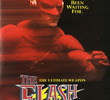 The Flash - O Último Vingador