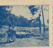 Maruxa