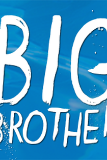 Big Brother US (15ª Temporada) - Poster / Capa / Cartaz - Oficial 3