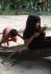 No Tempo do Verão (No Tempo do Verão)