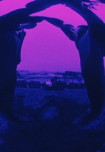 Looney Lens: Pas de deux (Looney Lens: Pas de deux)