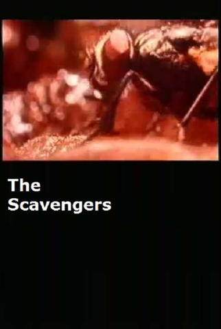 Poster 1 de Curta The Scavengers (1987)