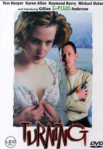 Destruídos Pelo Ódio (The Turning)