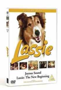 Lassie: A New Beginning - Poster / Capa / Cartaz - Oficial 1