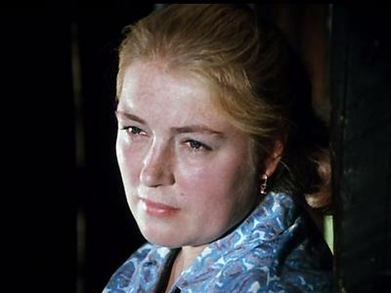 Foto 17 de The Red Snowball Tree 