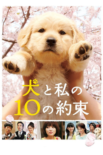 Poster de Filme 10 Promessas ao Meu Cão (2008)
