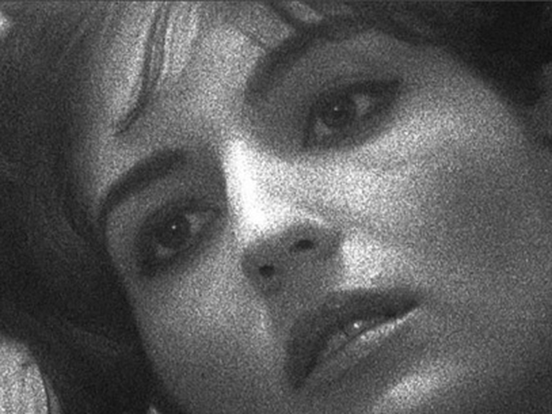 Foto 6 de O Círculo Cromático