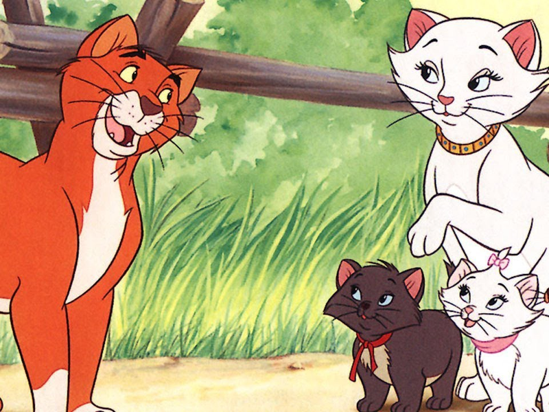 Foto 1 de Aristogatas