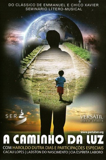 Poster de Filme A Caminho da Luz (2011)