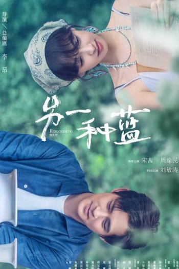  de Série Reblooming Blue (2024)