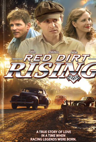 Poster 3 de Filme Desafios de Uma Vida (2014)