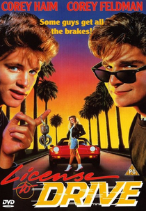 Sem Licença para Dirigir (License To Drive)