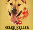 Helen Keller Had a Pitbull