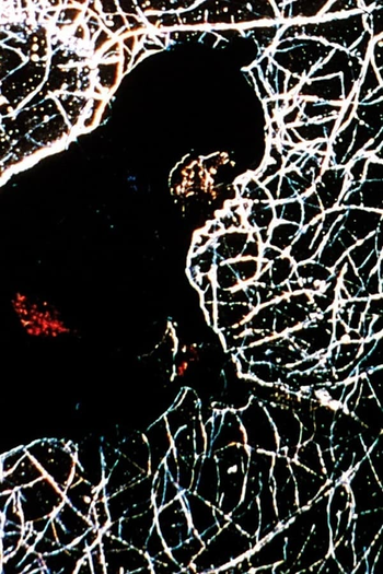 Poster de Curta The Snowman (1995)