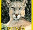 National Geographic: Puma - O Felino dos Andes