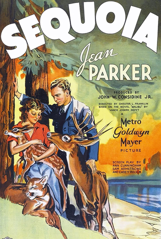 Poster 1 de Filme Matar ou Morrer (1934)