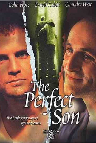 Poster 1 de Filme A Perfect Son (2000)