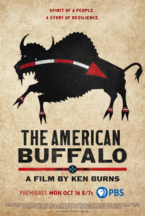 The American Buffalo - Poster / Capa / Cartaz - Oficial 1