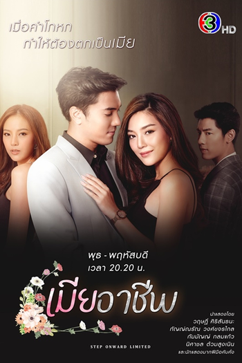 Poster de Franquia เมียอาชีพ (2020)