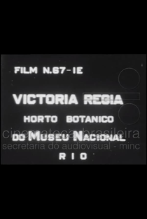 Victória Régia: Horto Botânico do Museu Nacional - Poster / Capa / Cartaz - Oficial 1