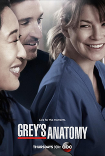 A Anatomia de Grey (10ª Temporada) - Poster / Capa / Cartaz - Oficial 2