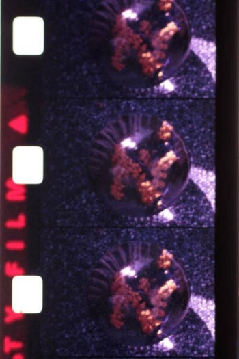 Poster de Curta Éphémère (1979)