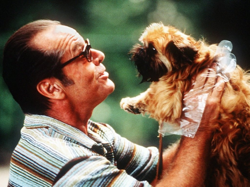 Foto 3 de Melhor É Impossível