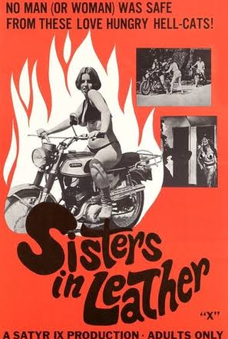 Poster 1 de Filme Sisters in Leather (1969)