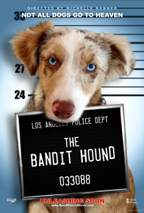 The Bandit Hound - Poster / Capa / Cartaz - Oficial 1