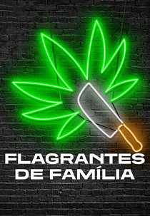Flagrantes de Família (3ª temporada) (Family Business)