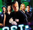 CSI: Investigação Criminal (2ª Temporada)