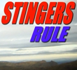 Stingers Rule!