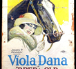 O Cavalo Vencedor