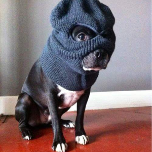 Foto de perfil de MIA