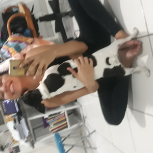 Foto de perfil de Jaci Marques