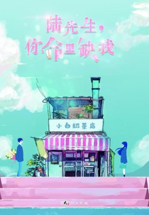 Mr. Lu, Your Life Lacks Me (陆先生，你命里缺我)