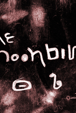 Poster 1 de Curta The Moonbird (2010)