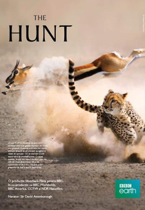 The Hunt (The Hunt)