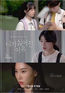 The Reason I Hate You (니가 싫어진 이유)