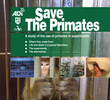 Save the Primates