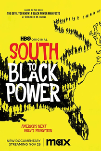 Black Power: De Volta ao Sul - Poster / Capa / Cartaz - Oficial 1