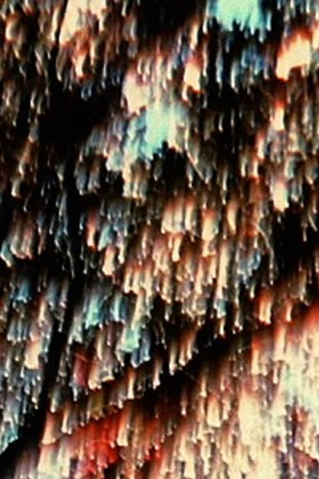 Poster de Curta The Secret Garden (1988)